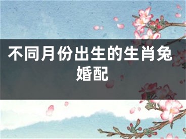 不同月份出生的生肖兔婚配
