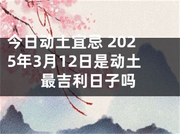今日动土宜忌 2025年3月12日是动土最吉利日子吗