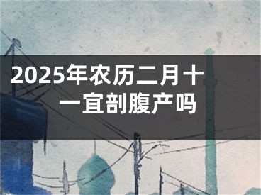 2025年农历二月十一宜剖腹产吗