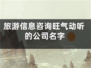 旅游信息咨询旺气动听的公司名字