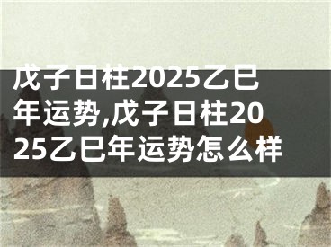 戊子日柱2025乙巳年运势,戊子日柱2025乙巳年运势怎么样