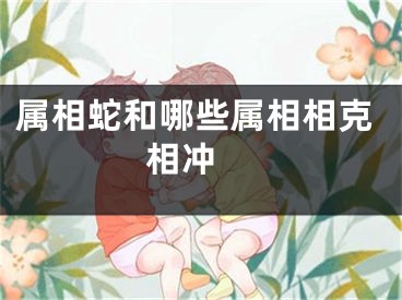 属相蛇和哪些属相相克相冲 