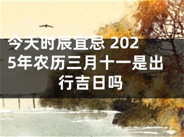 今天时辰宜忌 2025年农历三月十一是出行吉日吗