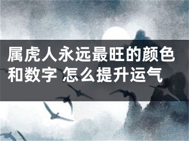 属虎人永远最旺的颜色和数字 怎么提升运气