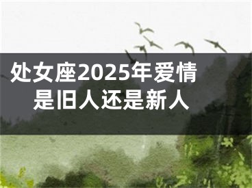 处女座2025年爱情是旧人还是新人 