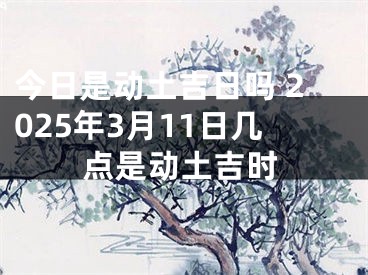 今日是动土吉日吗 2025年3月11日几点是动土吉时