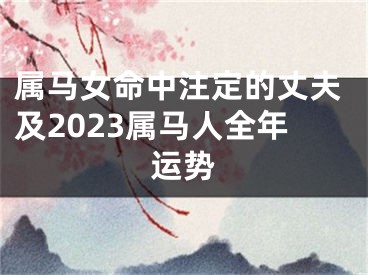 属马女命中注定的丈夫及2023属马人全年运势