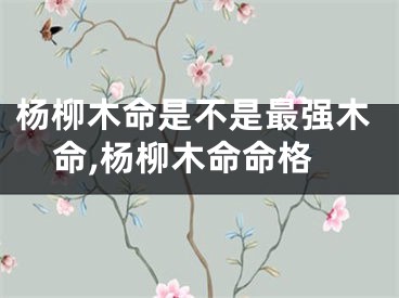 杨柳木命是不是最强木命,杨柳木命命格