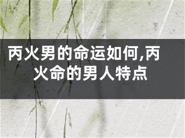 丙火男的命运如何,丙火命的男人特点