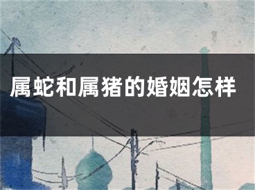 属蛇和属猪的婚姻怎样