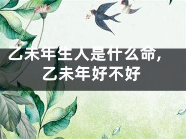 乙未年生人是什么命,乙未年好不好
