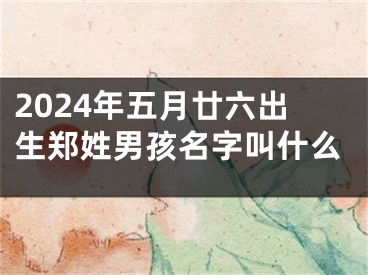 2024年五月廿六出生郑姓男孩名字叫什么