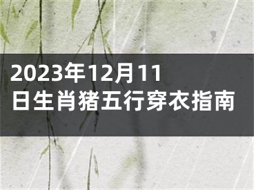 2023年12月11日生肖猪五行穿衣指南