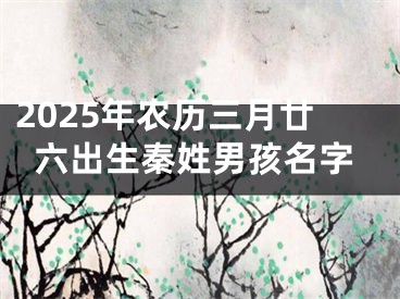 2025年农历三月廿六出生秦姓男孩名字