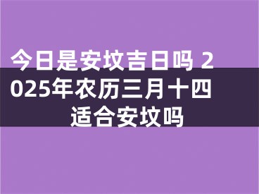 今日是安坟吉日吗 2025年农历三月十四适合安坟吗