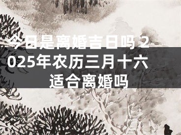 今日是离婚吉日吗 2025年农历三月十六适合离婚吗