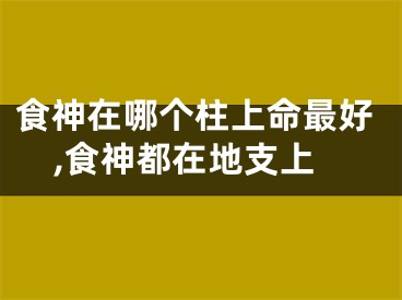 食神在哪个柱上命最好,食神都在地支上