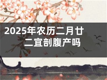 2025年农历二月廿二宜剖腹产吗
