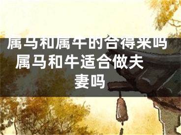 属马和属牛的合得来吗  属马和牛适合做夫妻吗