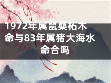 1972年属鼠桑柘木命与83年属猪大海水命合吗