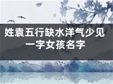 姓袁五行缺水洋气少见一字女孩名字