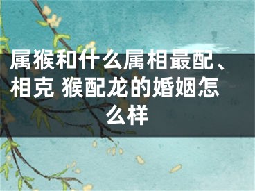 属猴和什么属相最配、相克 猴配龙的婚姻怎么样