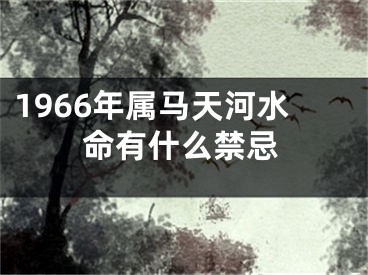 1966年属马天河水命有什么禁忌