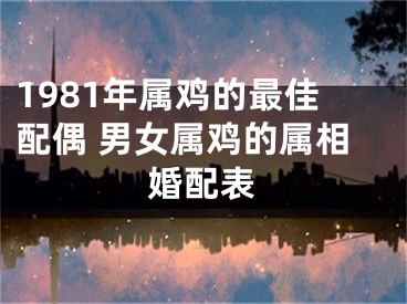 1981年属鸡的最佳配偶 男女属鸡的属相婚配表