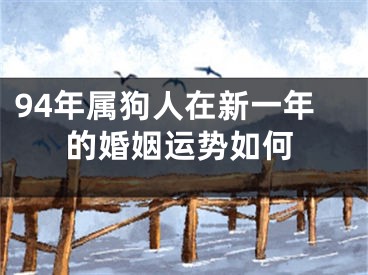 94年属狗人在新一年的婚姻运势如何