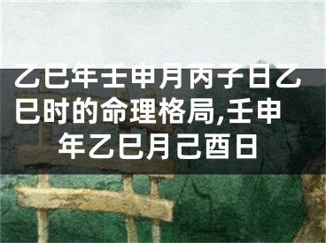 乙巳年壬申月丙子日乙巳时的命理格局,壬申年乙巳月己酉日