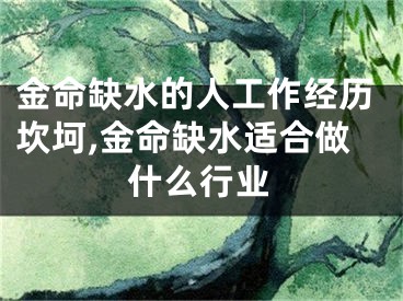 金命缺水的人工作经历坎坷,金命缺水适合做什么行业