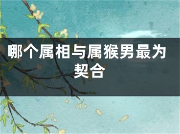 哪个属相与属猴男最为契合
