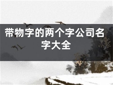带物字的两个字公司名字大全