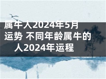 属牛人2024年5月运势 不同年龄属牛的人2024年运程