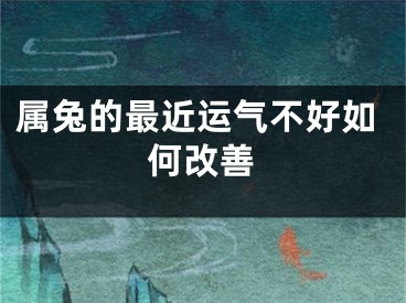 属兔的最近运气不好如何改善
