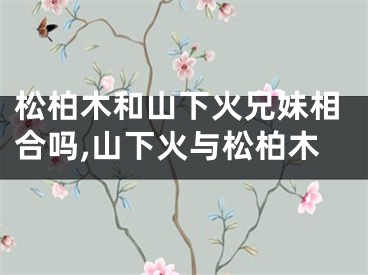 松柏木和山下火兄妹相合吗,山下火与松柏木