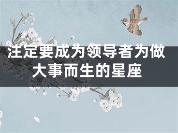 注定要成为领导者为做大事而生的星座