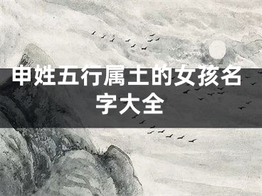 申姓五行属土的女孩名字大全