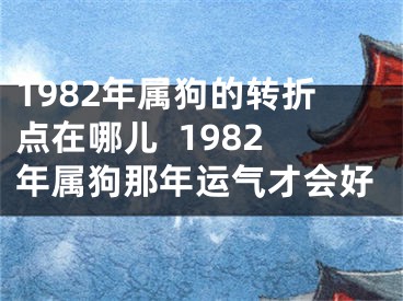 1982年属狗的转折点在哪儿  1982年属狗那年运气才会好