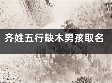 齐姓五行缺木男孩取名