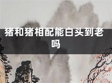 猪和猪相配能白头到老吗