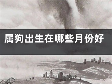 属狗出生在哪些月份好