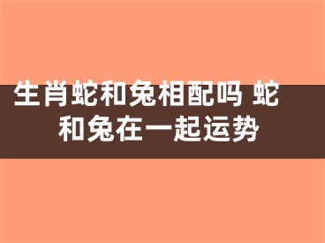 生肖蛇和兔相配吗 蛇和兔在一起运势