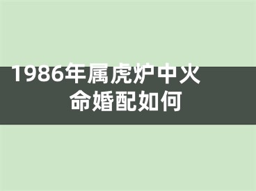1986年属虎炉中火命婚配如何