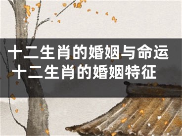 十二生肖的婚姻与命运 十二生肖的婚姻特征
