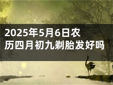 2025年5月6日农历四月初九剃胎发好吗