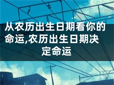 从农历出生日期看你的命运,农历出生日期决定命运