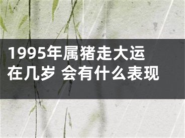 1995年属猪走大运在几岁 会有什么表现