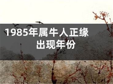 1985年属牛人正缘出现年份