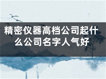 精密仪器高档公司起什么公司名字人气好